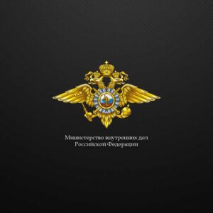 Справка о несудимости preview